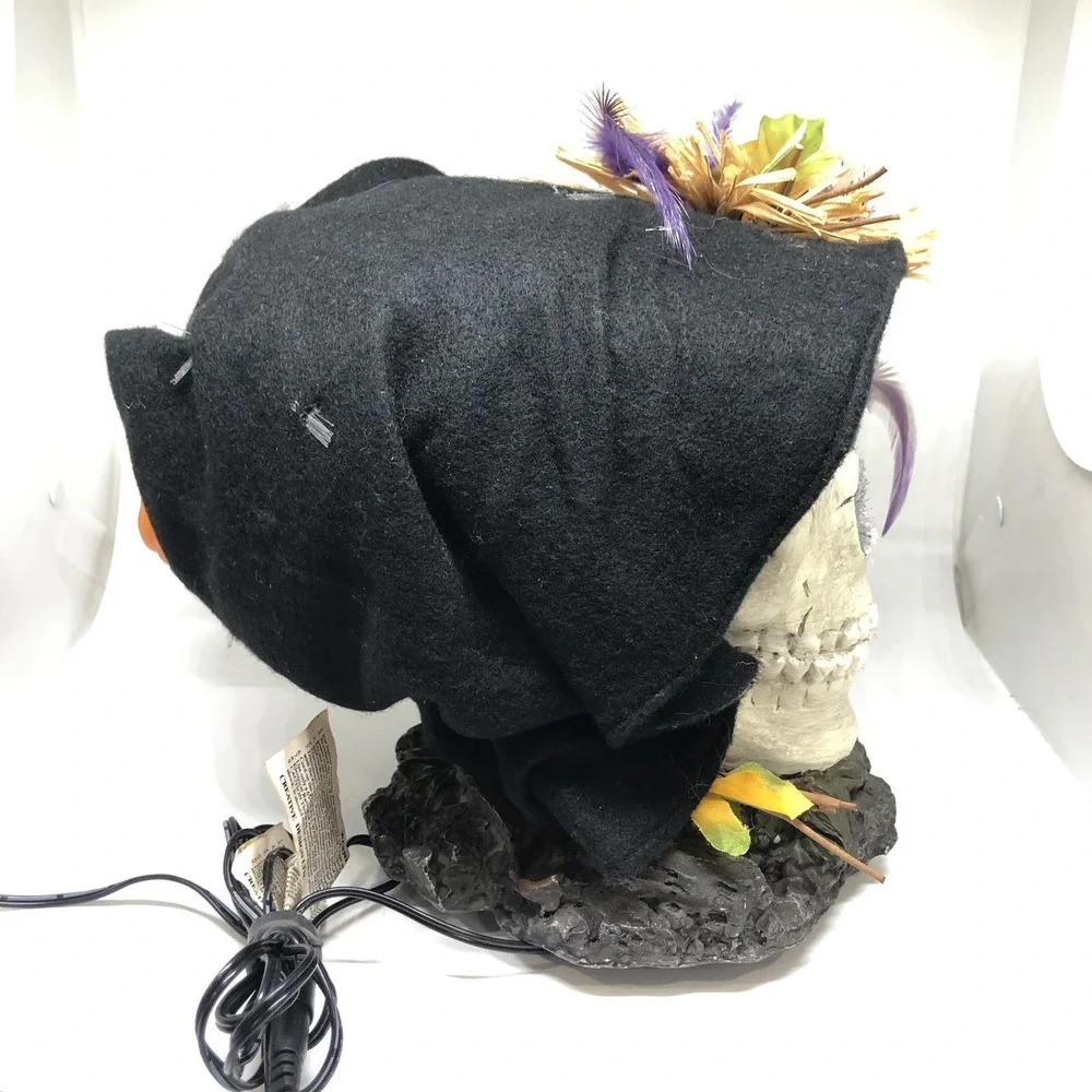 Fiber Optic Halloween Skull With Black Hood Creative Designs